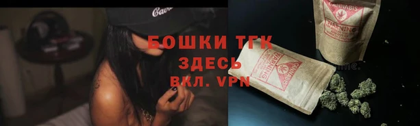 сатива Арсеньев