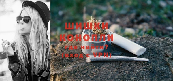 сатива Арсеньев
