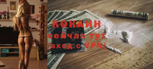 сатива Арсеньев