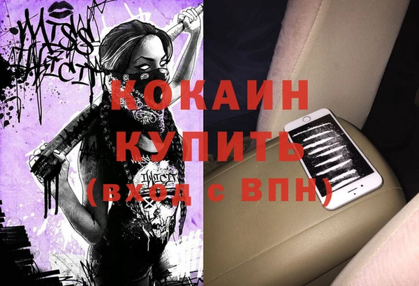 сатива Арсеньев