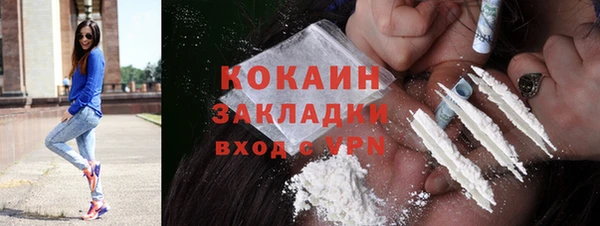 сатива Арсеньев