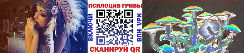 как найти закладки  Тутаев  Галлюциногенные грибы Psilocybe 